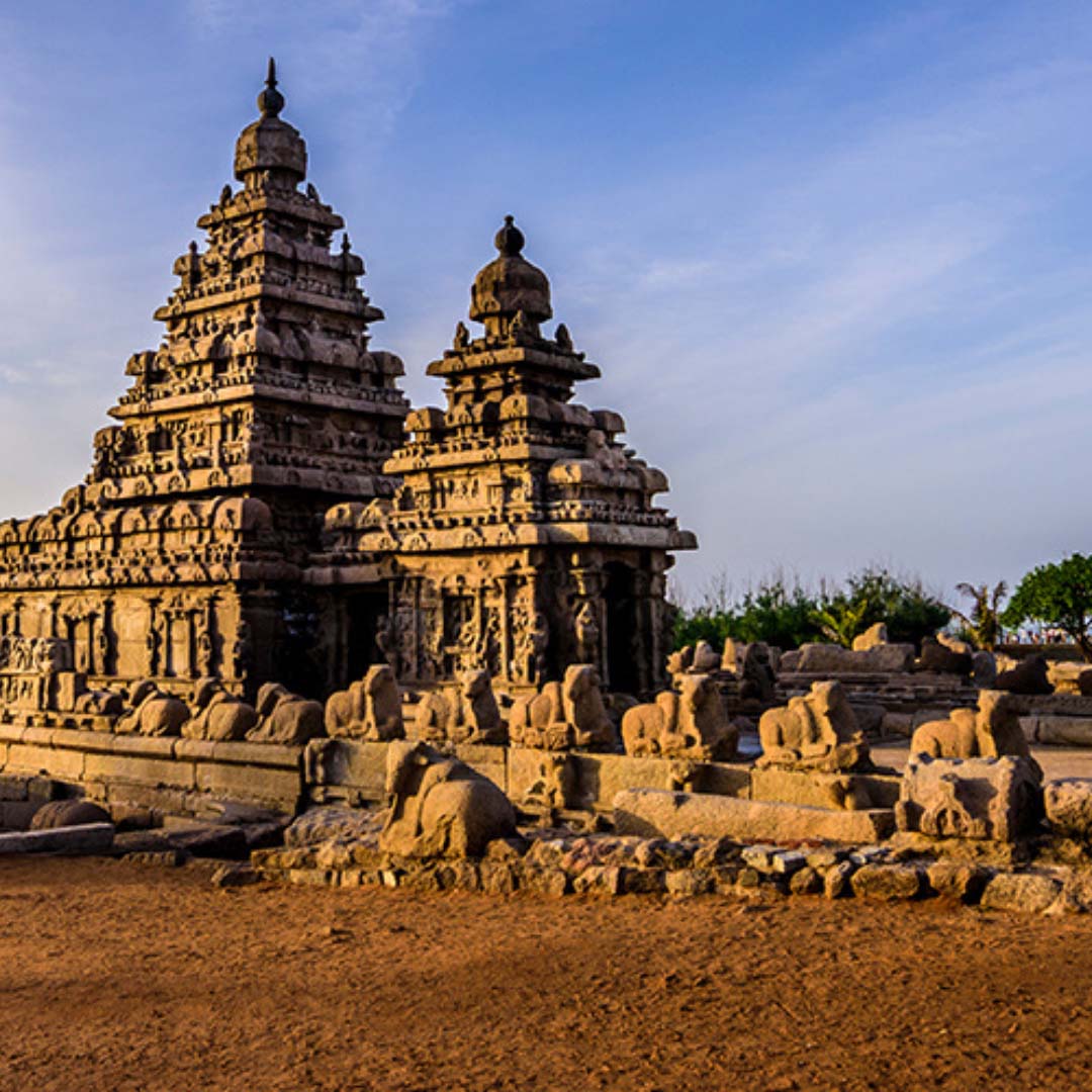 Cheap drop taxi Madurai
                    Cheap drop taxi Madurai
                    